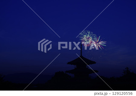 夜空に咲く花火  夜空に咲く花火  129120556