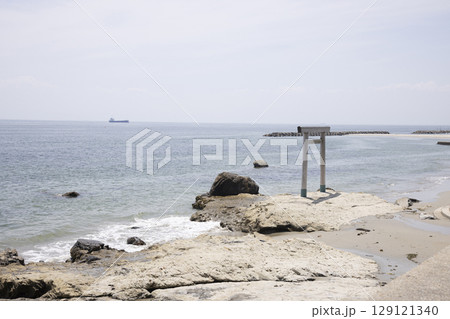 海岸沿いの鳥居 海岸沿いの鳥居 129121340