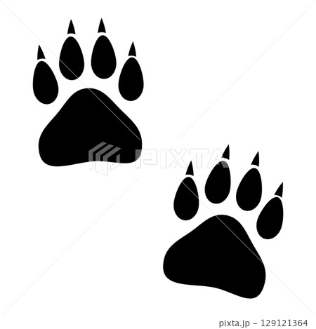 野生動物の足跡 野生動物の足跡 129121364