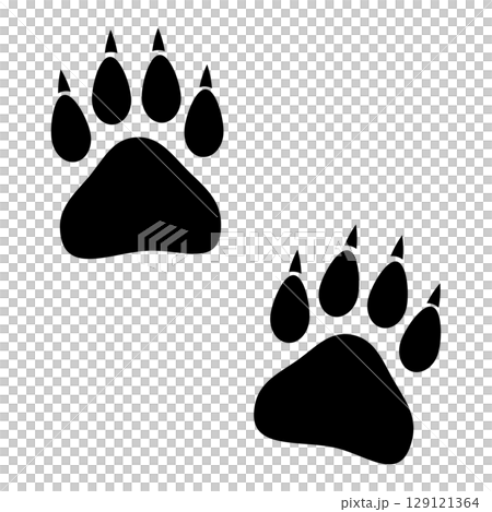 野生動物の足跡 野生動物の足跡 129121364