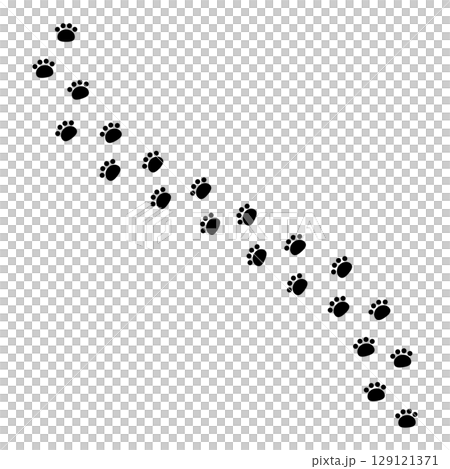 かわいい動物の足跡 129121371