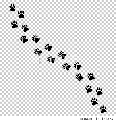 野生動物の足跡 129121373