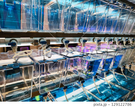 Water filtration system displays multiple transparent tanks in a modern setup with vibrant lighting at a tech showcase 129122786