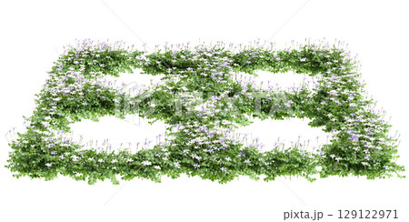3d illustration of bush Isotoma fluviatilis isolated on black background 3d illustration of bush Isotoma fluviatilis isolated on black background 129122971