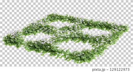 3d illustration of bush Isotoma fluviatilis isolated on black background 3d illustration of bush Isotoma fluviatilis isolated on black background 129122973