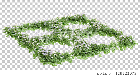 3d illustration of bush Isotoma fluviatilis isolated on black background 129122975