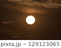 照り付ける太陽の光。 129123065