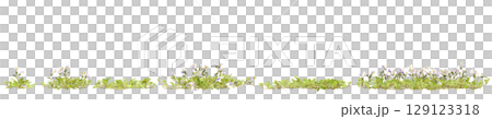 3d illustration of set bush mazus pumilus isolated on transparent background 129123318