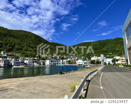 長崎県・五島列島・中通島・奈良尾のアコウの木と神社の参道 129123437
