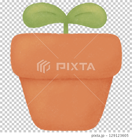 Plant in a pot Plant in a pot 129123605