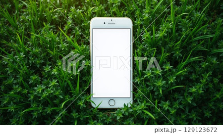Smartphone with blank white screen lying on green grass. Mockup for mobile app, website, or digital content presentation 129123672