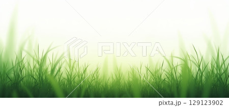Green grass field with soft blurred background and copy space. Natural landscape for spring, summer, eco, and environmental design 129123902