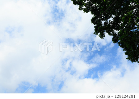 空に浮かぶ雲と青空 空に浮かぶ雲と青空 129124281