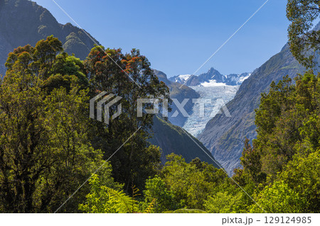 ニュージーランド　ウェスト・コースト地方にあるサウス・サイド・ウォークから見えるフォックス氷河 129124985