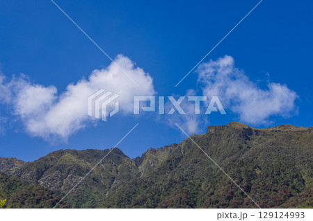 ニュージーランド　ウェスト・コーストにあるフォックス・グレイシャー・サウス・サイド・ウォークの景色 129124993