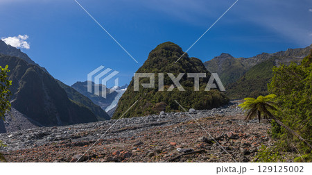 ニュージーランド　ウェスト・コースト地方にあるサウス・サイド・ウォークから見えるフォックス氷河 129125002