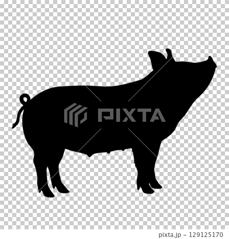 牲畜和十二生肖的象徵。一隻豬側站立的簡單剪影插圖。豬肉菜餚、餐廳、火腿 牲畜和十二生肖的象徵。一隻豬側站立的簡單剪影插圖。豬肉菜餚、餐廳、火腿 129125170