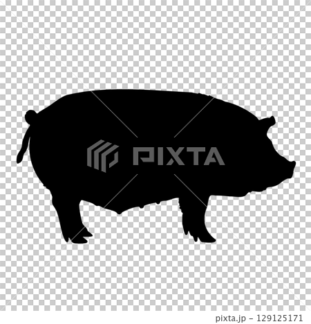 牲畜和十二生肖的象徵。一隻豬側站立的簡單剪影插圖。豬肉菜餚、餐廳、火腿 牲畜和十二生肖的象徵。一隻豬側站立的簡單剪影插圖。豬肉菜餚、餐廳、火腿 129125171