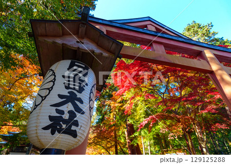 秋の日吉大社　山王鳥居 129125288