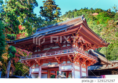 秋の日吉大社　西本宮の楼門 129125297