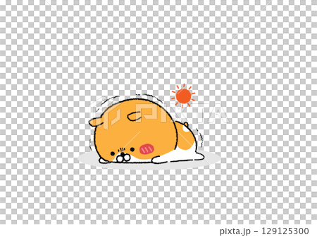 一隻可愛又放鬆的倉鼠正在忍受酷暑 一隻可愛又放鬆的倉鼠正在忍受酷暑 129125300