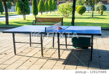 Table tennis in the park. Entertainment in the resort area. Game in nature. 129125989