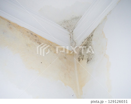 Leak on white ceiling. The sewer pipes are faulty. Concept of leaking pipes in a house. The neighbors have a faulty toilet. Public housing problem. Leak on white ceiling. The sewer pipes are faulty. Concept of leaking pipes in a house. The neighbors have a faulty toilet. Public housing problem. 129126031