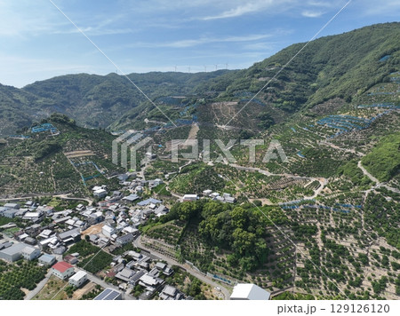 和歌山県の綺麗な蜜柑の丘をドローン空撮 129126120