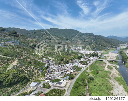 和歌山県の綺麗な蜜柑の丘をドローン空撮 和歌山県の綺麗な蜜柑の丘をドローン空撮 129126177
