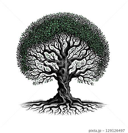 Stylized tree with intricate branches, green leaves and visible roots on white background. Hand-drawn illustration Stylized tree with intricate branches, green leaves and visible roots on white background. Hand-drawn illustration 129126497