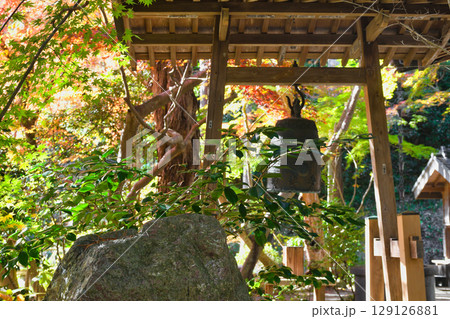 鎌倉 覚園寺の美しい紅葉と鐘（神奈川県鎌倉市） 129126881