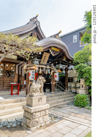 神戸八社巡り　一宮神社（生田裔神八社の一柱目）拝殿（市の宮　生成発展の進徳）　神戸市中央区山本通 129126905