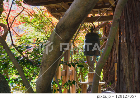 鎌倉 覚園寺の美しい紅葉と鐘（神奈川県鎌倉市） 129127057