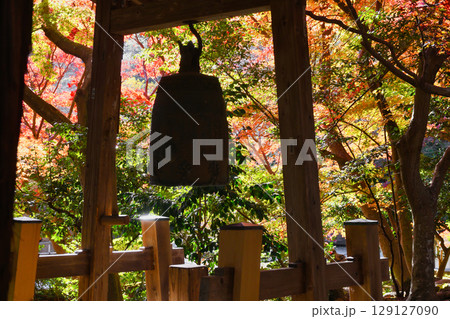 鎌倉 覚園寺の美しい紅葉と鐘（神奈川県鎌倉市） 129127090