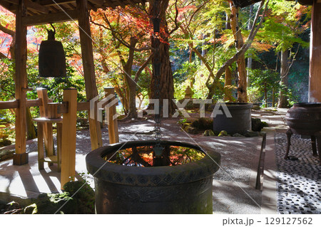 鎌倉 覚園寺 美しい紅葉と鐘(神奈川県鎌倉市) 鎌倉 覚園寺 美しい紅葉と鐘(神奈川県鎌倉市) 129127562