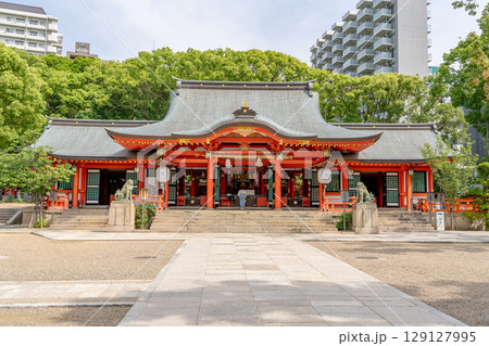 日本最古級の由緒ある神社 生田神社(生田さん) 拝殿 神戸市中央区下山手通 日本最古級の由緒ある神社 生田神社(生田さん) 拝殿 神戸市中央区下山手通 129127995