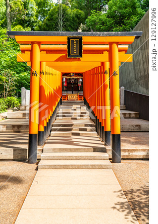 日本最古級の由緒ある神社 生田神社(生田さん)摂社 稲荷神社(生田稲荷大明神) 神戸市中央区下山手通 日本最古級の由緒ある神社 生田神社(生田さん)摂社 稲荷神社(生田稲荷大明神) 神戸市中央区下山手通 129127996