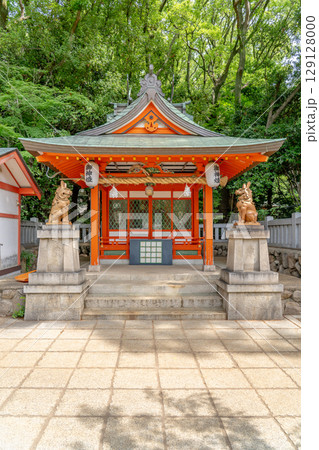 日本最古級の由緒ある神社 生田神社(生田さん)摂社 蛭子神社(商売繁盛の神) 神戸市中央区下山手通 日本最古級の由緒ある神社 生田神社(生田さん)摂社 蛭子神社(商売繁盛の神) 神戸市中央区下山手通 129128000