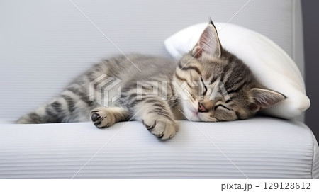 Ginger tabby cat sleeping on a sofa. Funny home pet. Concept of relaxing and cozy wellbeing 129128612
