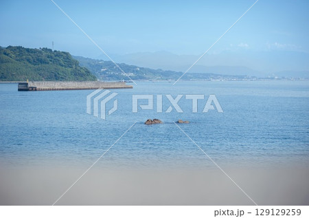 琴ヶ浜海岸の風景、神奈川県真鶴町、海岸線の眺め 129129259