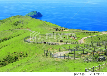 【島根県】快晴のアカハゲ山展望台からの眺望（隠岐の島　知夫里島） 129129453