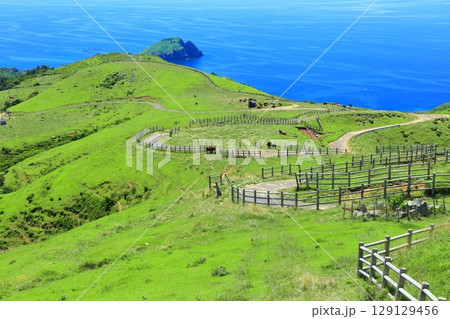 【島根県】快晴のアカハゲ山展望台からの眺望(隠岐の島 知夫里島) 【島根県】快晴のアカハゲ山展望台からの眺望(隠岐の島 知夫里島) 129129456