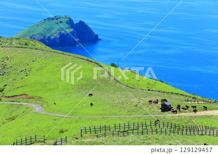 【島根県】快晴のアカハゲ山展望台からの眺望（隠岐の島　知夫里島） 129129457