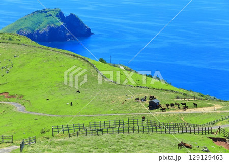 【島根県】快晴のアカハゲ山展望台からの眺望(隠岐の島 知夫里島) 【島根県】快晴のアカハゲ山展望台からの眺望(隠岐の島 知夫里島) 129129463