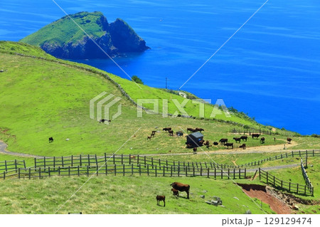 【島根県】快晴のアカハゲ山展望台からの眺望（隠岐の島　知夫里島） 129129474