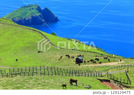 【島根県】快晴のアカハゲ山展望台からの眺望（隠岐の島　知夫里島） 129129475