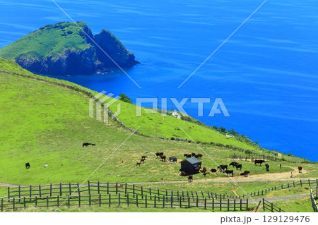 【島根県】快晴のアカハゲ山展望台からの眺望(隠岐の島 知夫里島) 【島根県】快晴のアカハゲ山展望台からの眺望(隠岐の島 知夫里島) 129129476