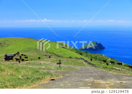 【島根県】快晴のアカハゲ山展望台からの眺望（隠岐の島　知夫里島） 129129478