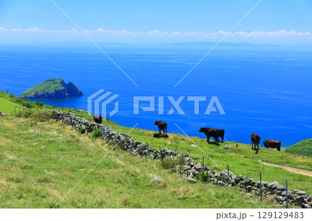 【島根県】快晴のアカハゲ山の名垣（隠岐の島　知夫里島） 129129483