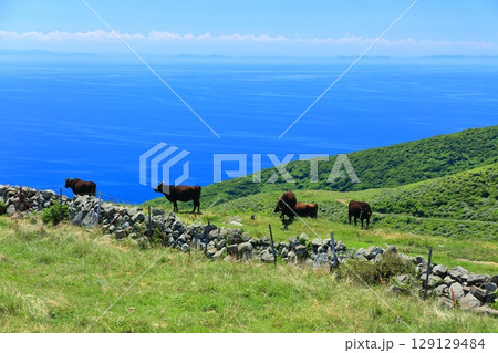【島根県】快晴のアカハゲ山の名垣（隠岐の島　知夫里島） 129129484